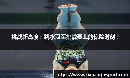 挑战新高度：跳水冠军挑战赛上的惊险时刻 !