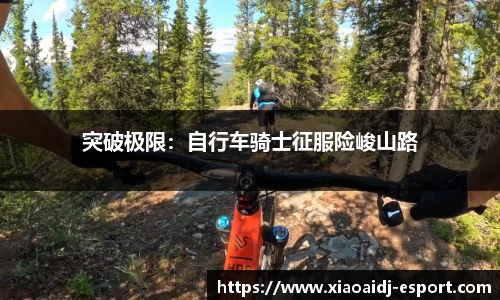 突破极限：自行车骑士征服险峻山路