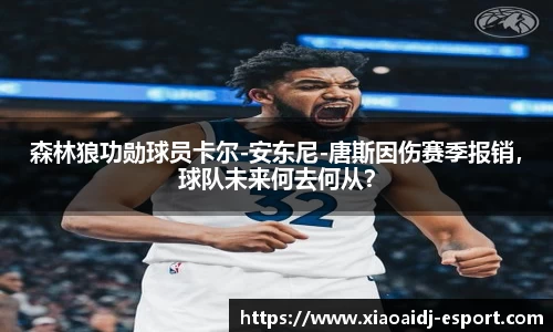 森林狼功勋球员卡尔-安东尼-唐斯因伤赛季报销，球队未来何去何从？