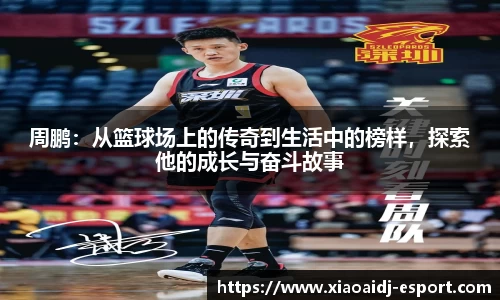 周鹏：从篮球场上的传奇到生活中的榜样，探索他的成长与奋斗故事
